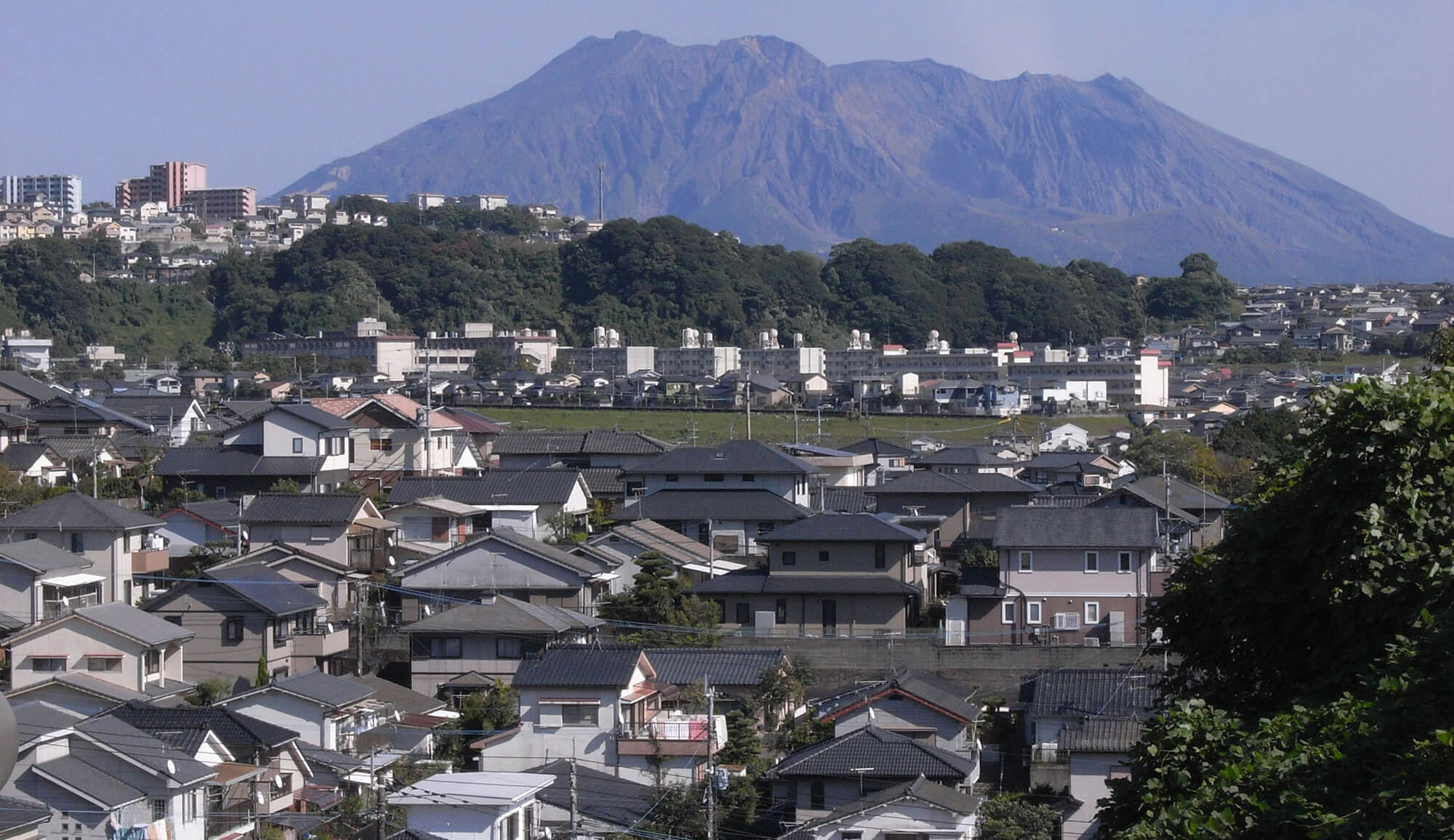 小山研究室